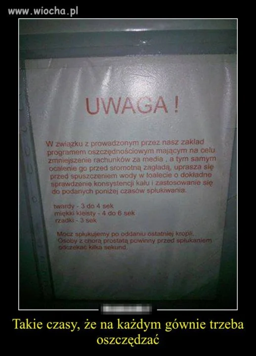 Prostata