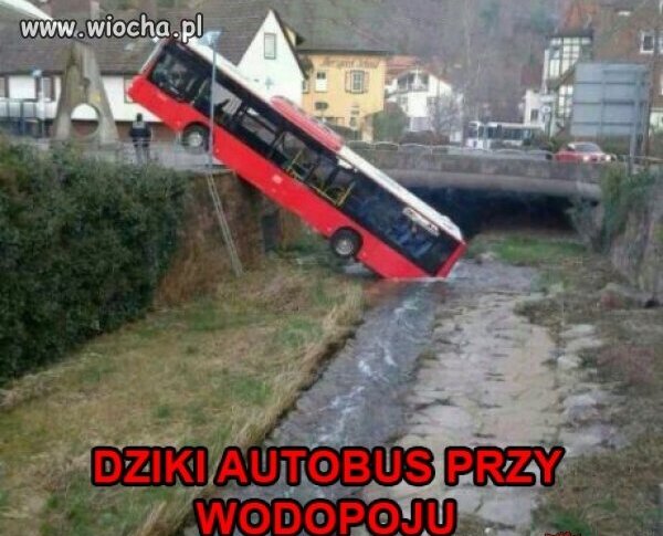 I tyle w temacie