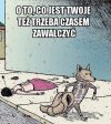 Brak tytułu