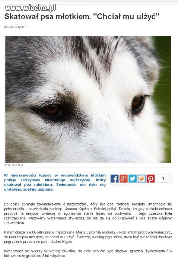 Kolejny pijany s..syn!