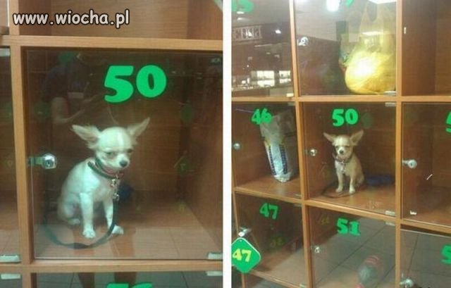 Ja prdl...