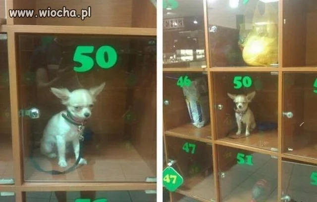 Ja prdl...