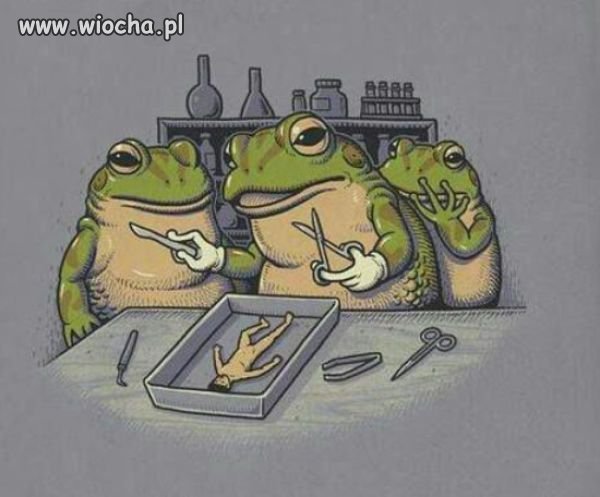 Wiwisekcja ?!