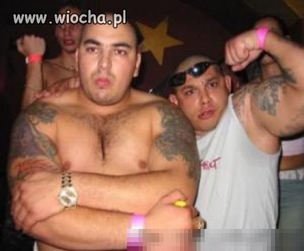 Hardcorowi cyganie z Węgier