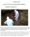15 lat w więzieniu za niewinność