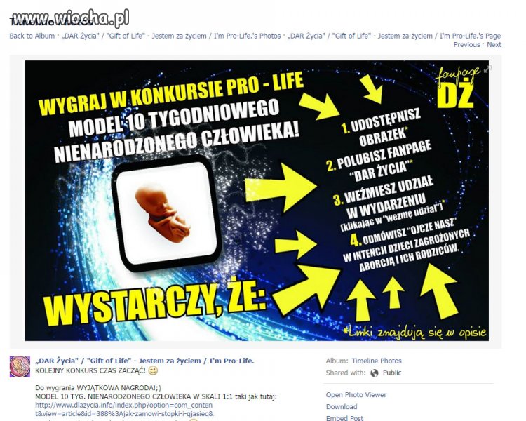 Całe życie marzyłem o takiej maskotce.