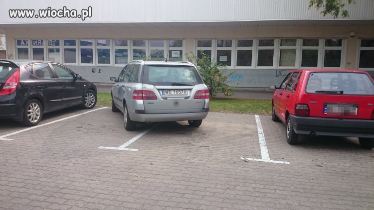 Mistrz parkowania 