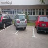 Mistrz parkowania 
