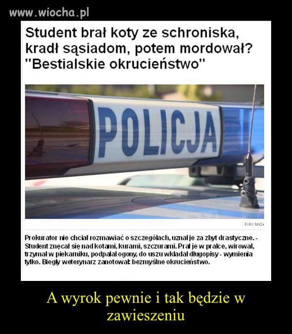 Bestialski chłopak.