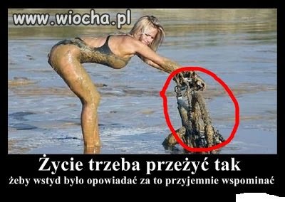 Dokładnie tak