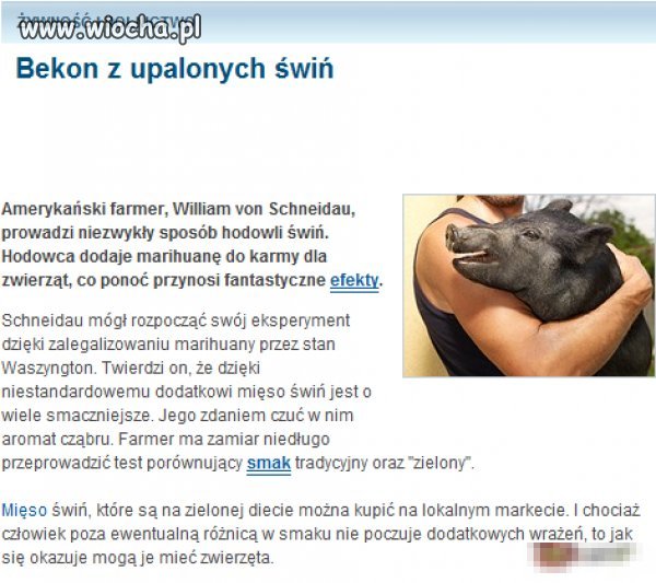 Upalone świnie i mięso