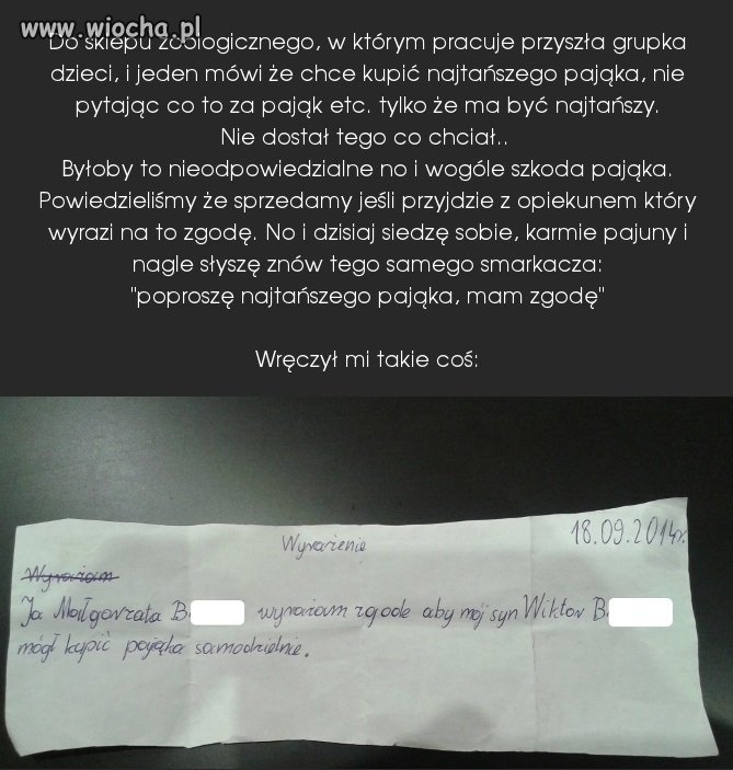 "Wyrażenie"