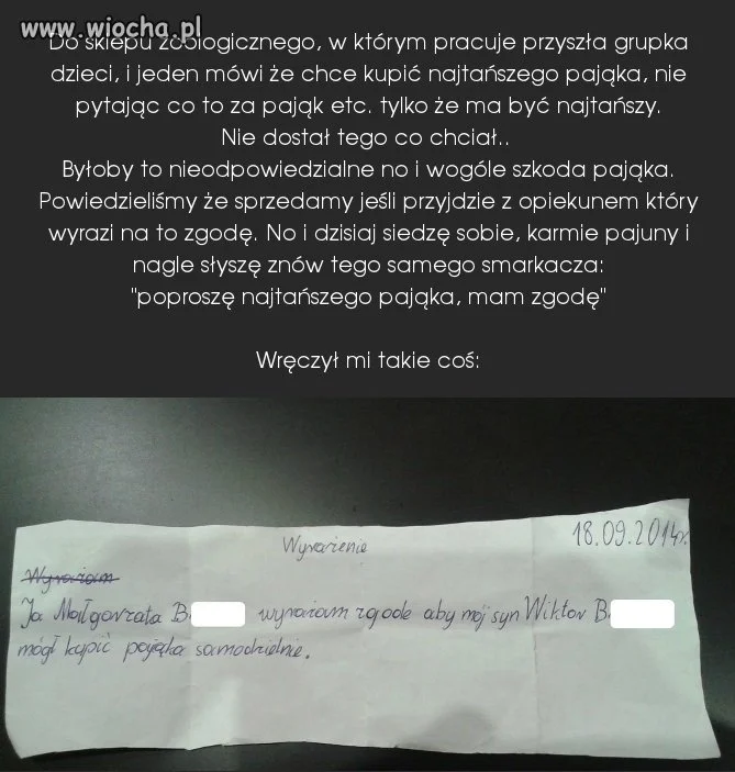 "Wyrażenie"