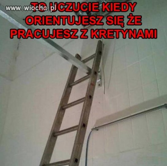 Ciekawe, jak teraz odzyskać drabinę ...