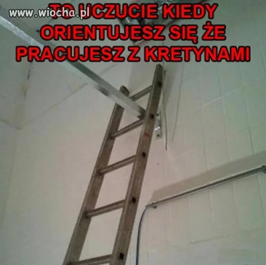 Ciekawe, jak teraz odzyskać drabinę ...