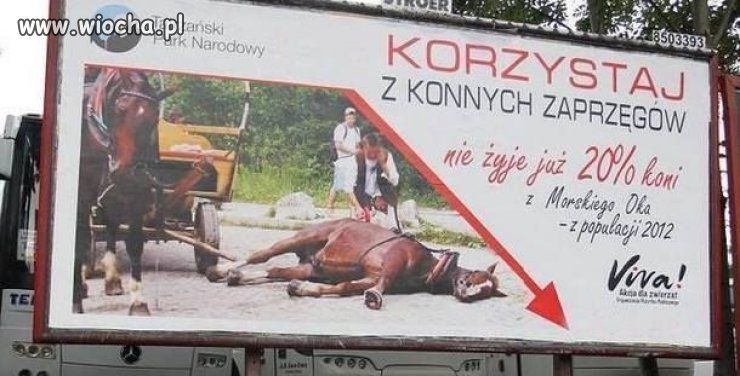Tak to już jest że zwierzęta żyją i umierają