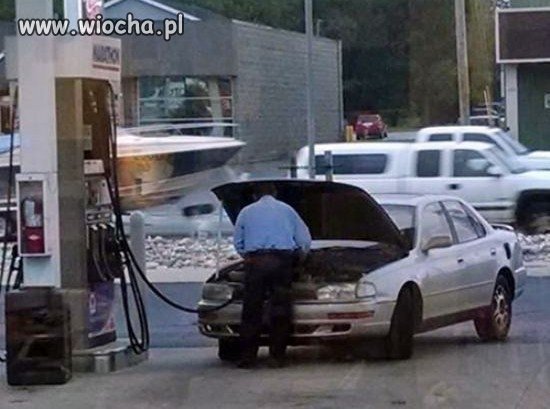 Za cholerę nie mogę pojąć,