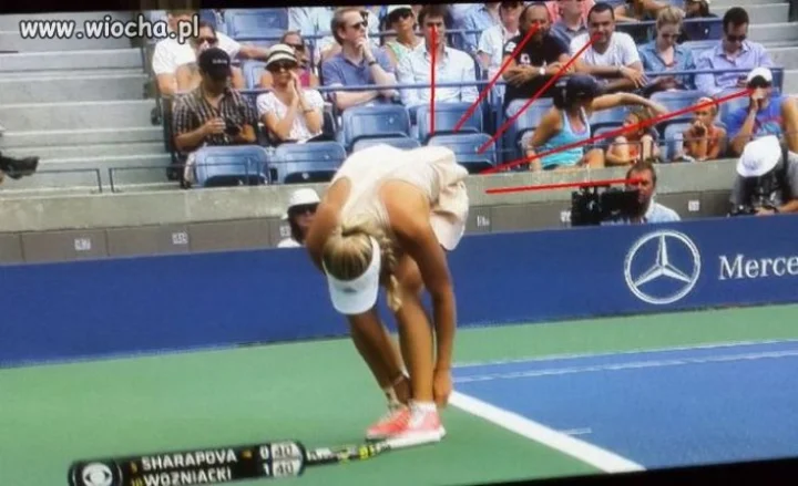 Każdy lubi tenis.