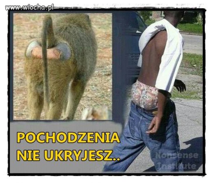 Nie da się ukryć 
