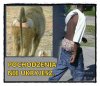 Nie da się ukryć 