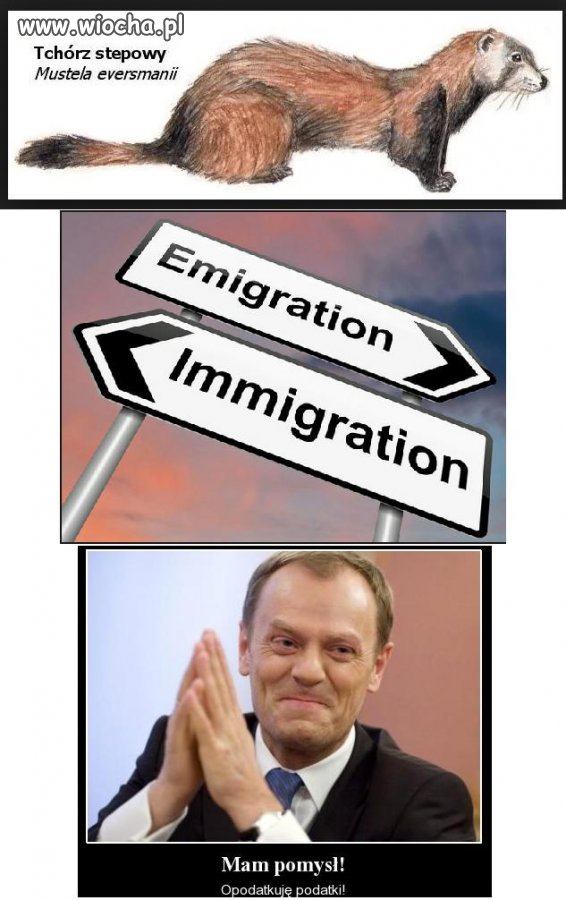 Zagadka nr 1.Z działu Polityka tylko dla POwiaków
