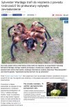 Nagrał filmik na youtubie, grozi mu 3 lata wiezienia