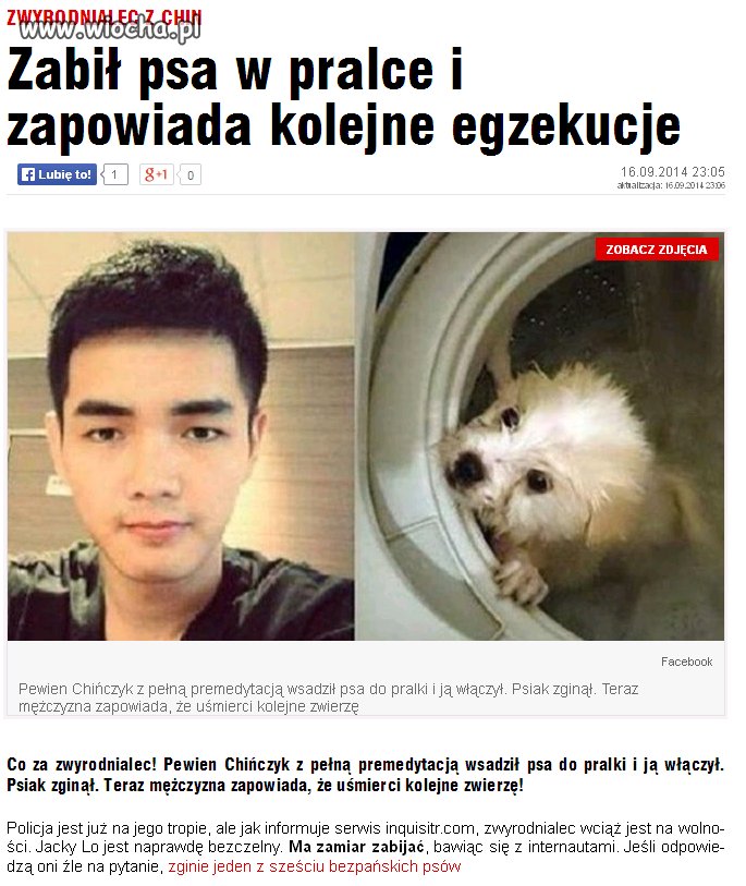 Nie wiem co czasami ludziom siedzi w pustych