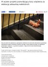 STOP gender w przedszkolach !