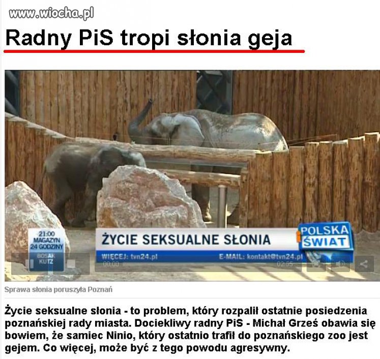 Czy po to są radni? 