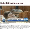Czy po to są radni? 