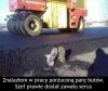 Chyba nie tylko on dostał zawału