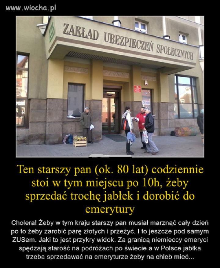 Zakład Ubezpieczeń Społecznych