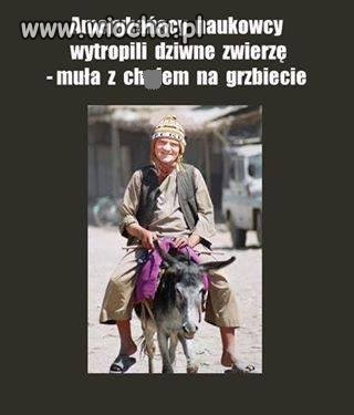 Ameryka ma naukowców 