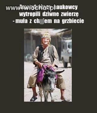 Ameryka ma naukowców 