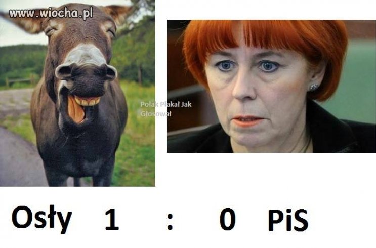  Ludzie wstawili się za Osłami z poznańskiego ZOO ...