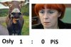  Ludzie wstawili się za Osłami z poznańskiego ZOO ...