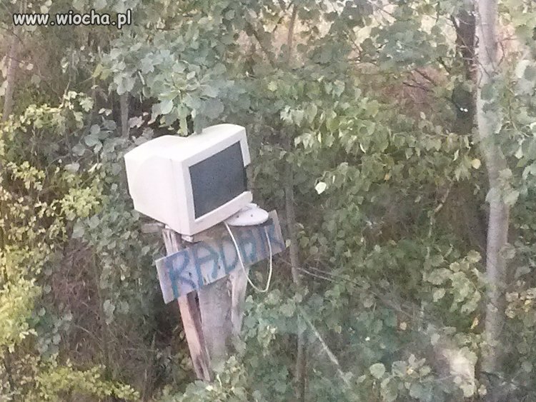 Jadę a tu  nagle w krzakach.