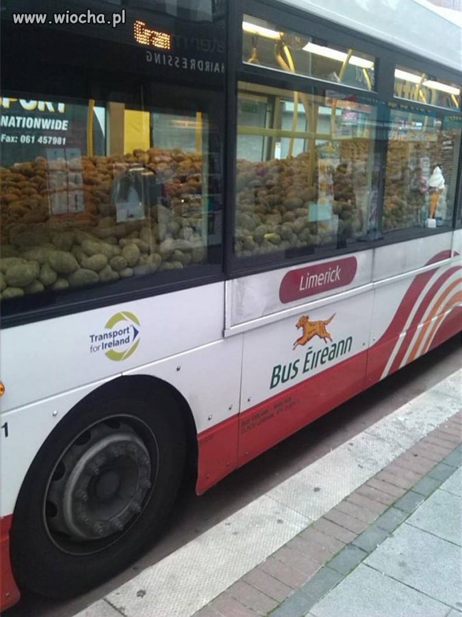 Kartofelbus