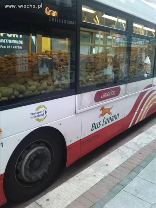 Kartofelbus