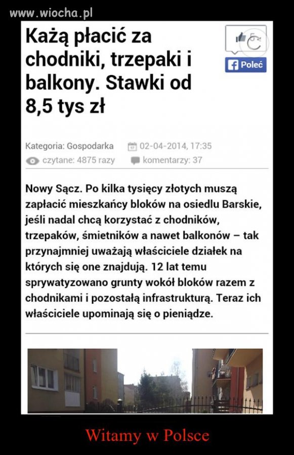 Cwaniactwo w najczystszej postaci 