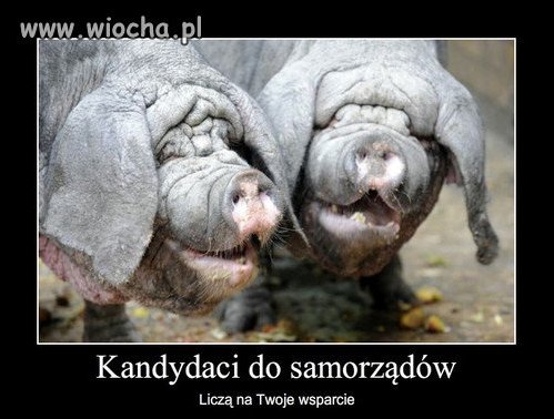 Już nie długo będą