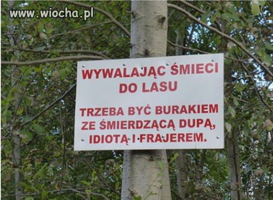 Przy wejściu do pewnego lasu