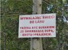 Przy wejściu do pewnego lasu