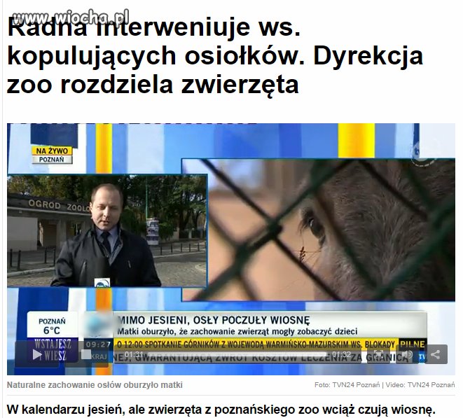 Pilna sprawa wymagająca interwencji radnej: 