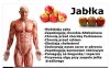 Teraz wszyscy musimy wpierdzielać jabłka.