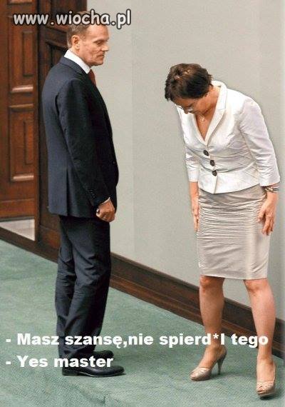 Kości zostały rzucone 