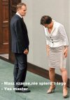Kości zostały rzucone 