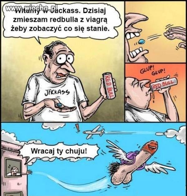 Jackass