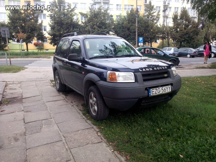 Parkowanie w Zgierzu