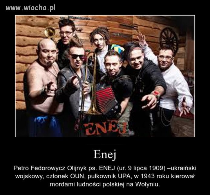 Nigdy ich nie lubiłem